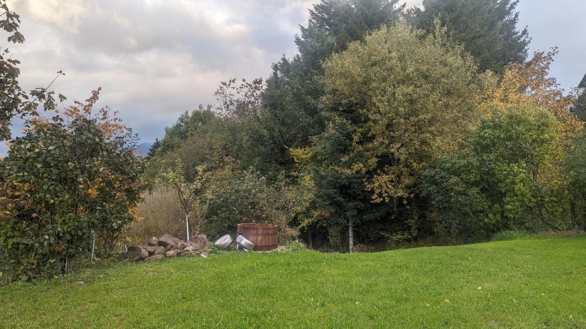 Domaine De La Griffe - Chambres D'Hotes "Roche Parnal" La Roche-sur-Foron Eksteriør bilde